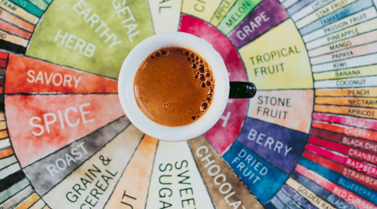 Flavor Wheel Coffee Guide: Read and Use It Like a Pro